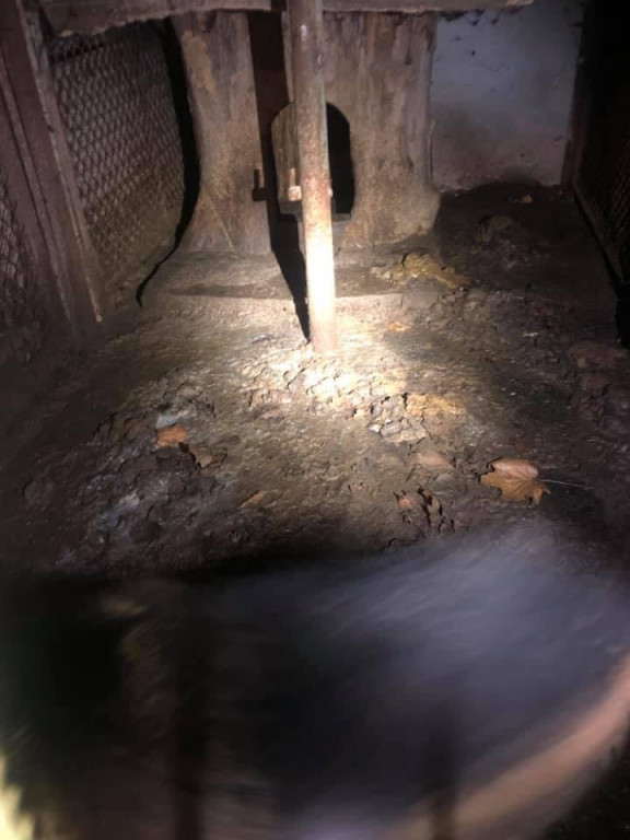 Ksiądz może usłyszeć zarzut znęcania się nad zwierzętami. TOZ odebrał mu dwa psy