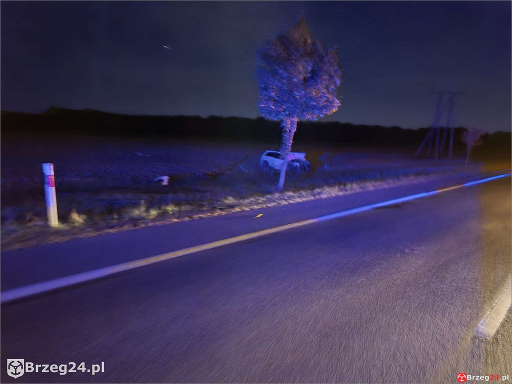 Pijany 25-latek spowodował wypadek w S
