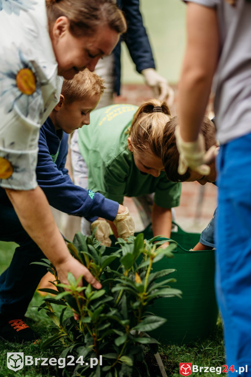Dominium Skorogoszcz 2025
