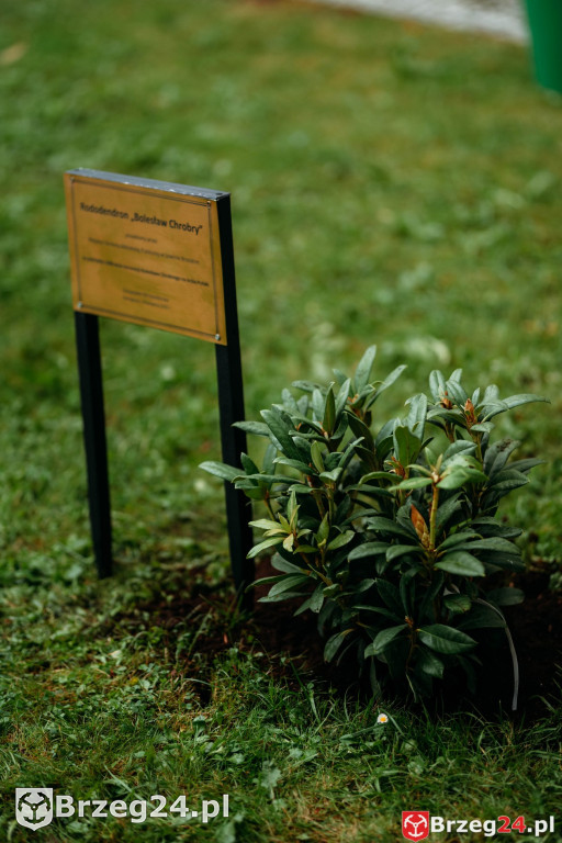 Dominium Skorogoszcz 2025