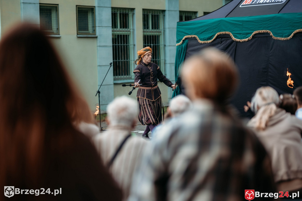 Dominium Skorogoszcz 2025