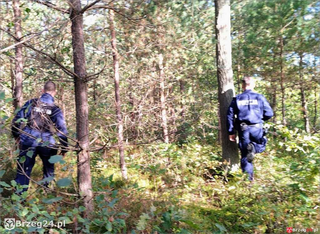 Policja, straż i wojsko we wspólnej akcji
