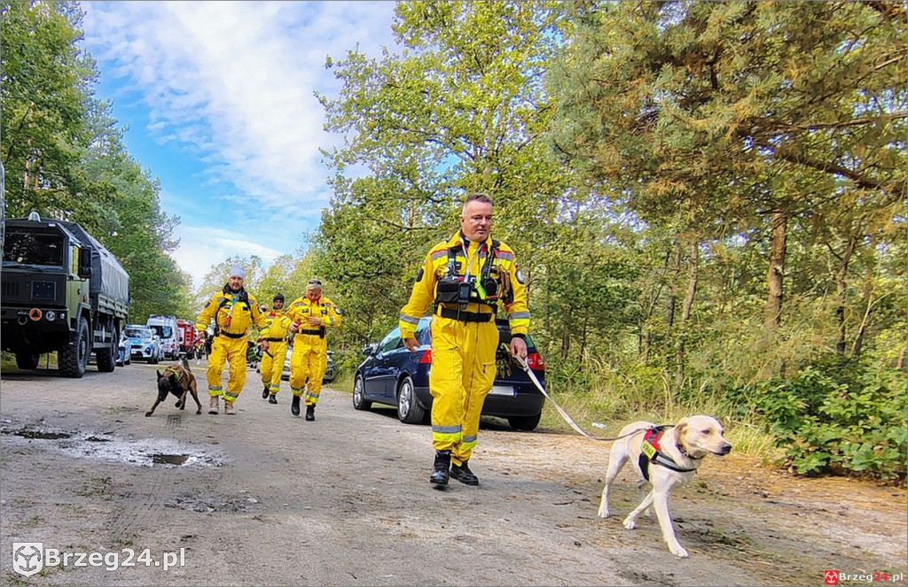 Policja, straż i wojsko we wspólnej akcji