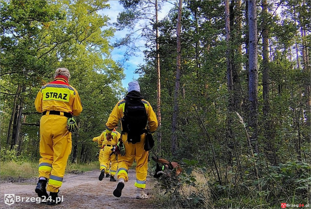 Policja, straż i wojsko we wspólnej akcji