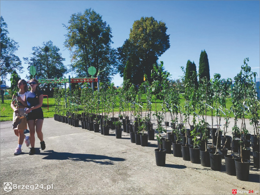 Piknik Ekologiczny Olszanka 2025