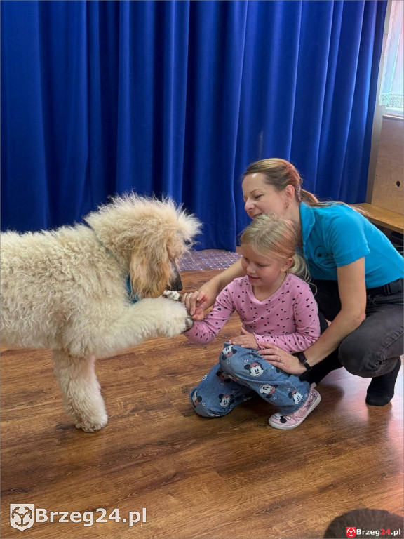 Ciepłe spojrzenie Abi i emocje wśród dzieci