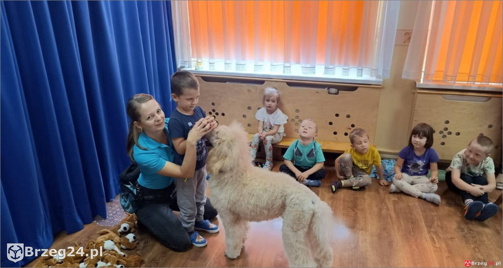 Ciepłe spojrzenie Abi i emocje wśród dzieci