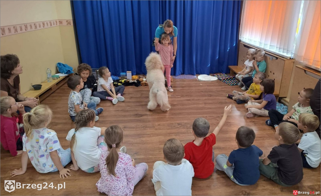 Ciepłe spojrzenie Abi i emocje wśród dzieci