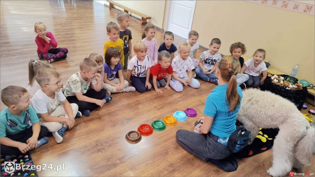 Ciepłe spojrzenie Abi i emocje wśród dzieci