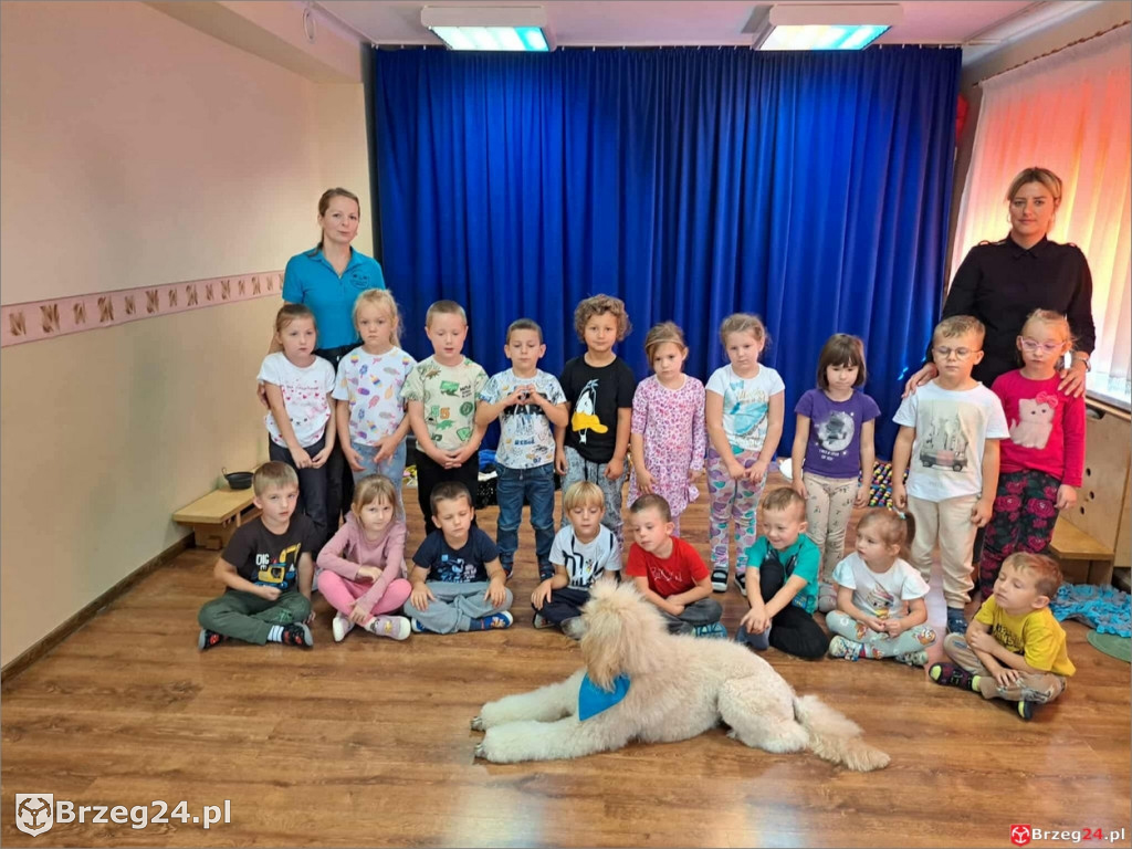 Ciepłe spojrzenie Abi i emocje wśród dzieci