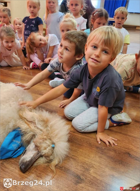 Ciepłe spojrzenie Abi i emocje wśród dzieci
