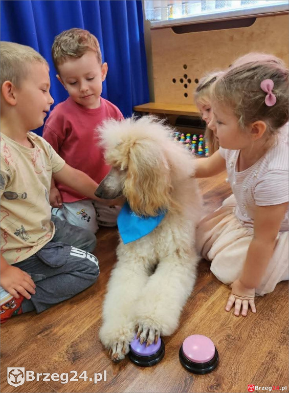 Ciepłe spojrzenie Abi i emocje wśród dzieci