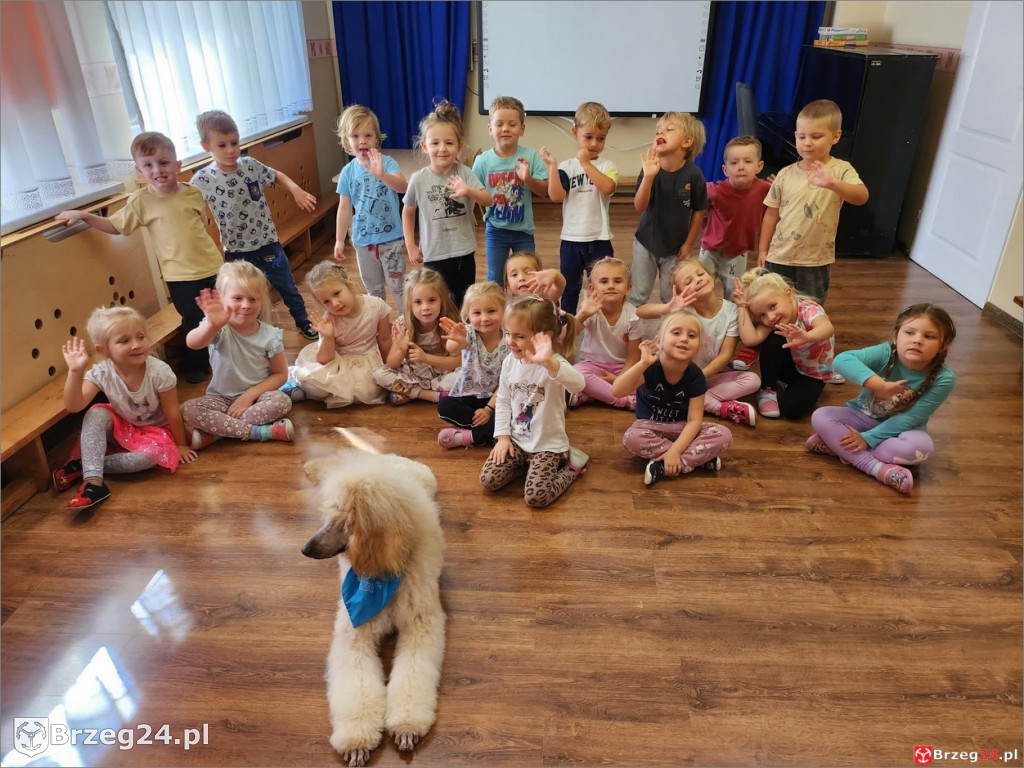 Ciepłe spojrzenie Abi i emocje wśród dzieci