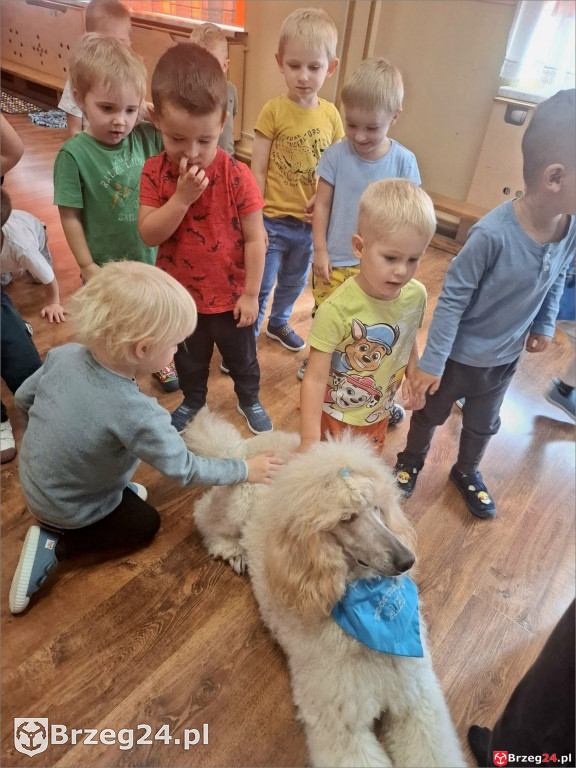 Ciepłe spojrzenie Abi i emocje wśród dzieci