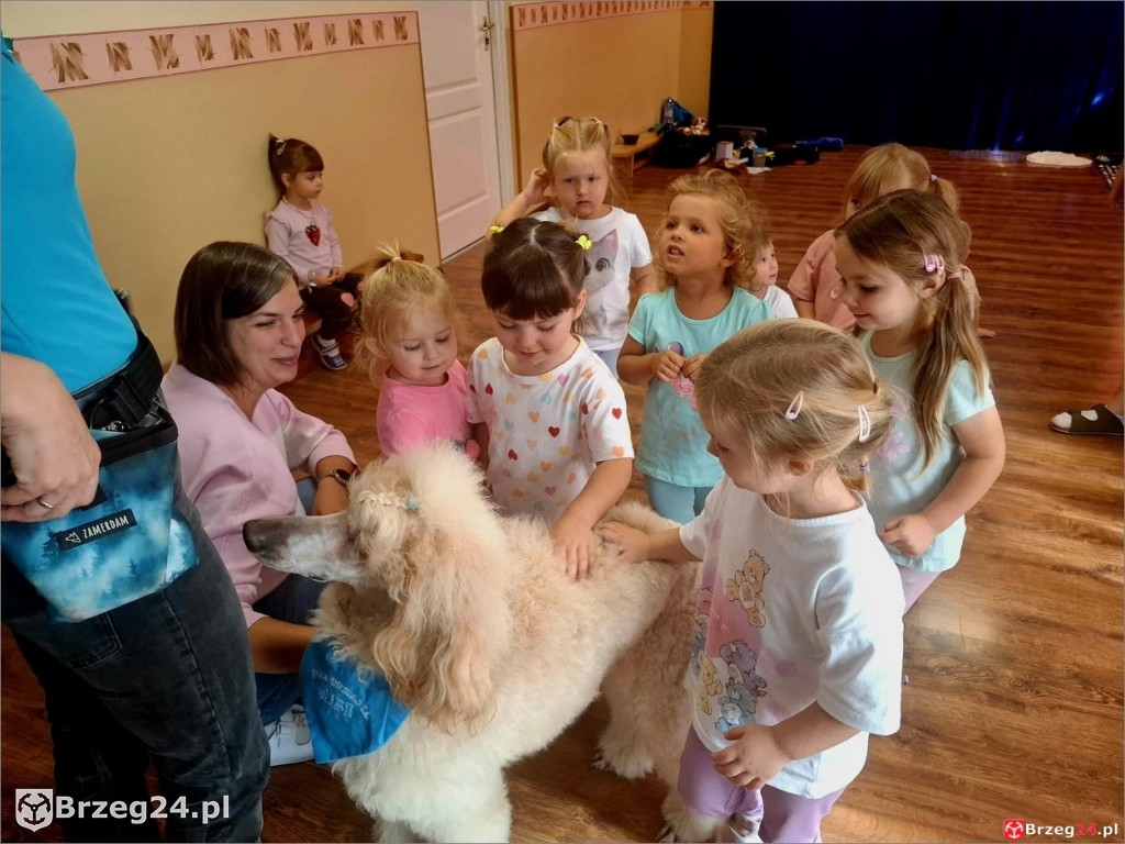 Ciepłe spojrzenie Abi i emocje wśród dzieci