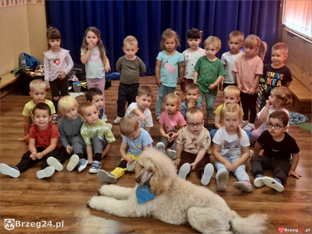 Ciepłe spojrzenie Abi i emocje wśród dzieci