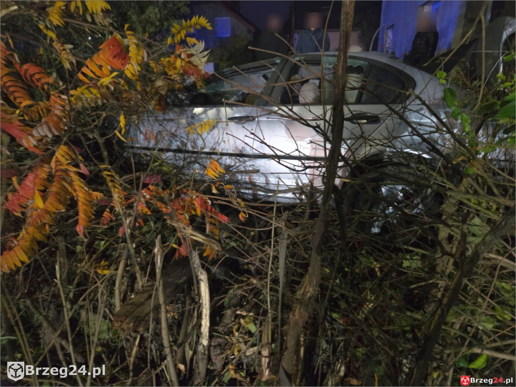 Pijany Ukrainiec z zakazem prowadzenia dachował