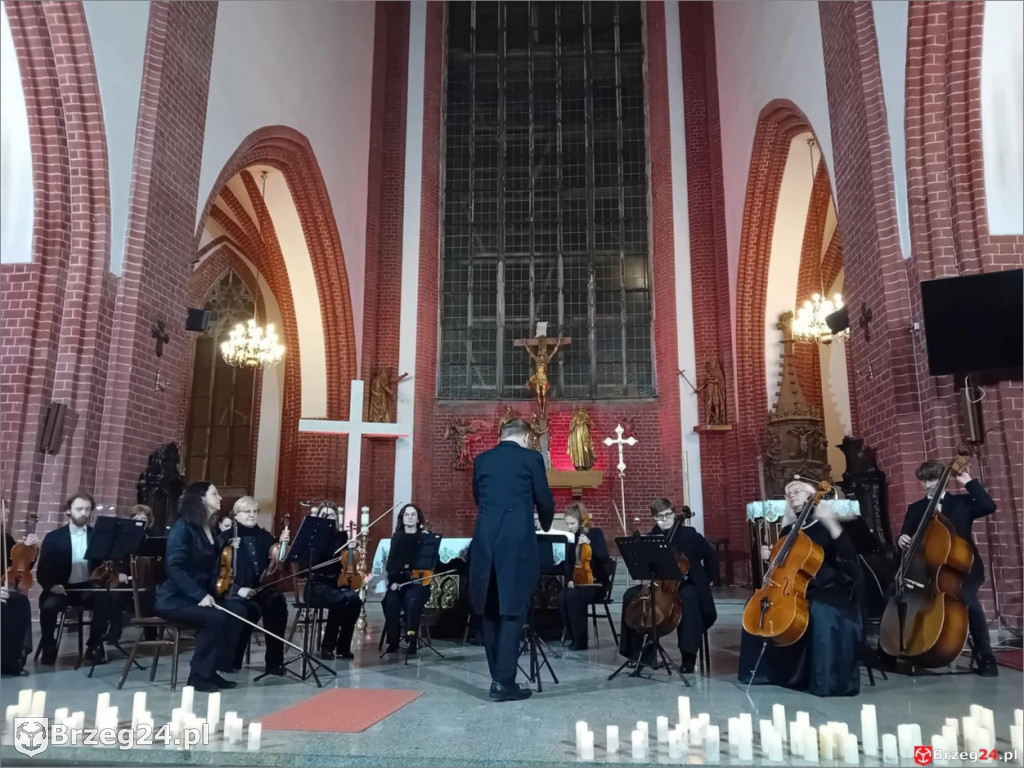 Wrocław, Brzeg i poezja w jednym tonie
