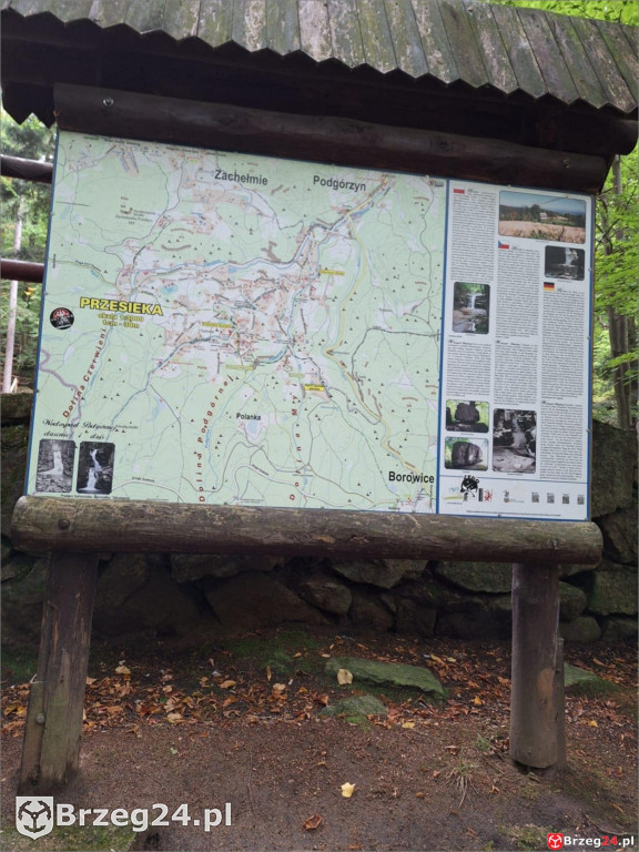 Amazonki podsumowują swoje lato