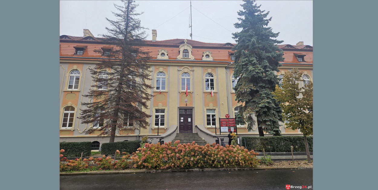 Świerki zniknęły sprzed urzędu. Bez ekspertyzy