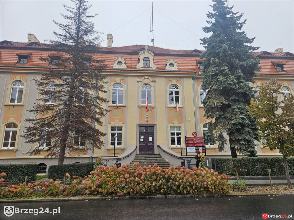 Świerki zniknęły sprzed urzędu. Bez ekspertyzy