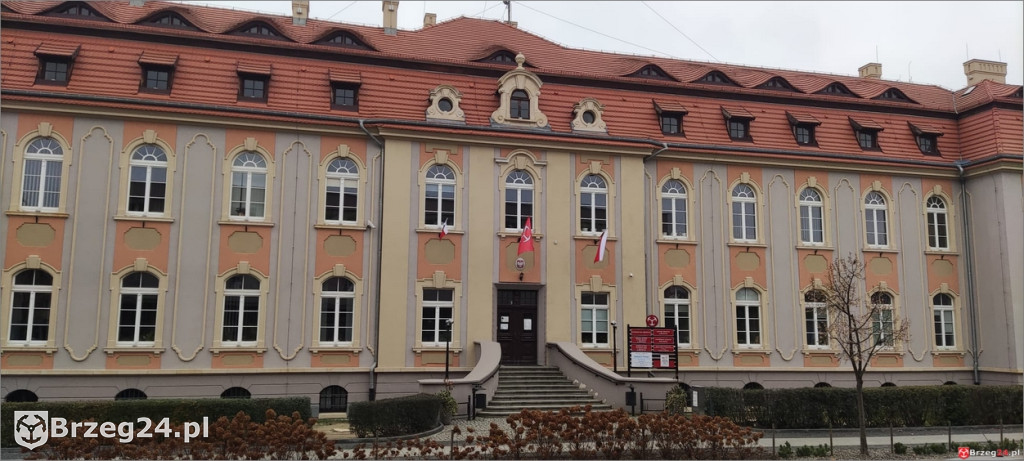 Świerki zniknęły sprzed urzędu. Bez ekspertyzy