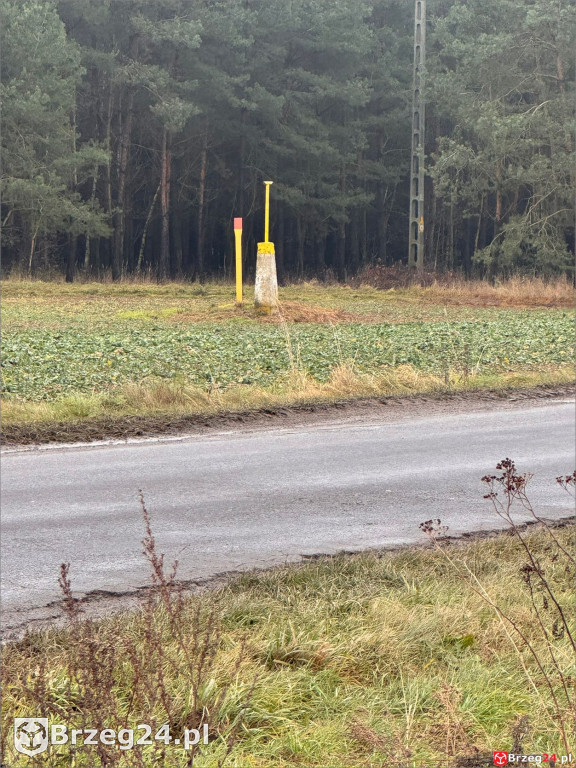 Co dalej z biometanownią? 30 ciężarówek dziennie