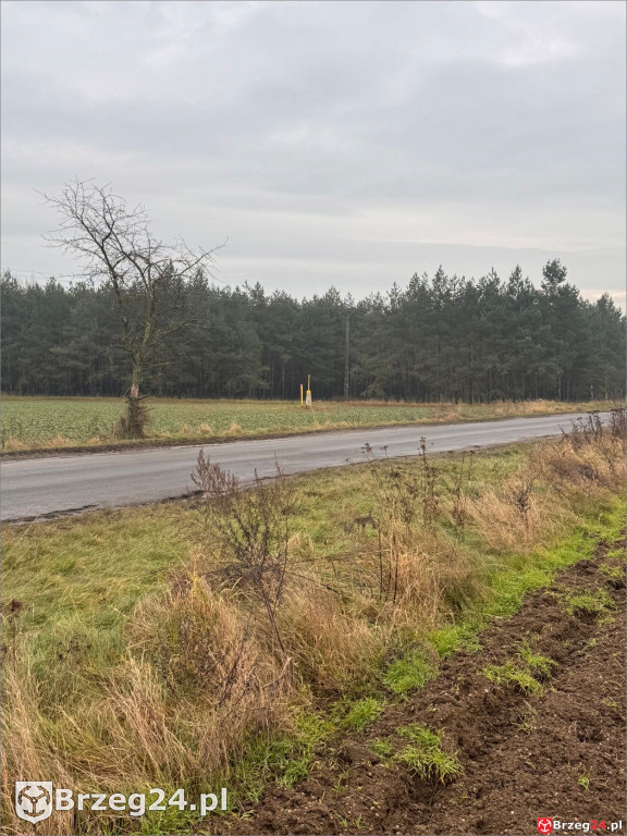 Co dalej z biometanownią? 30 ciężarówek dziennie