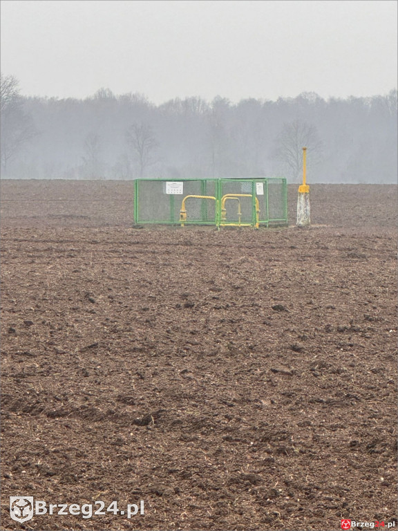 Co dalej z biometanownią? 30 ciężarówek dziennie