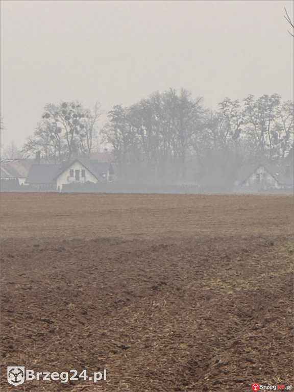 Co dalej z biometanownią? 30 ciężarówek dziennie
