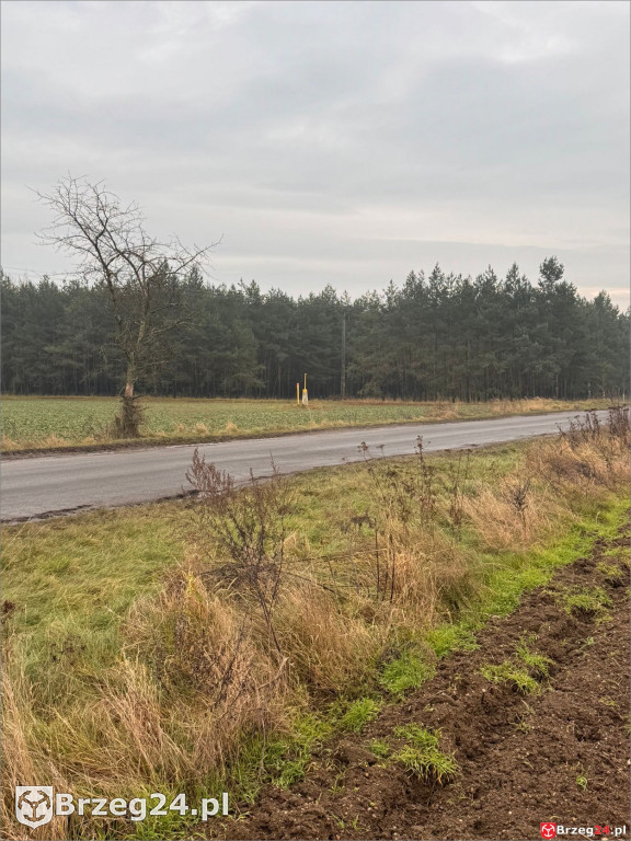 Co dalej z biometanownią? 30 ciężarówek dziennie