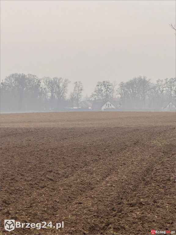 Co dalej z biometanownią? 30 ciężarówek dziennie