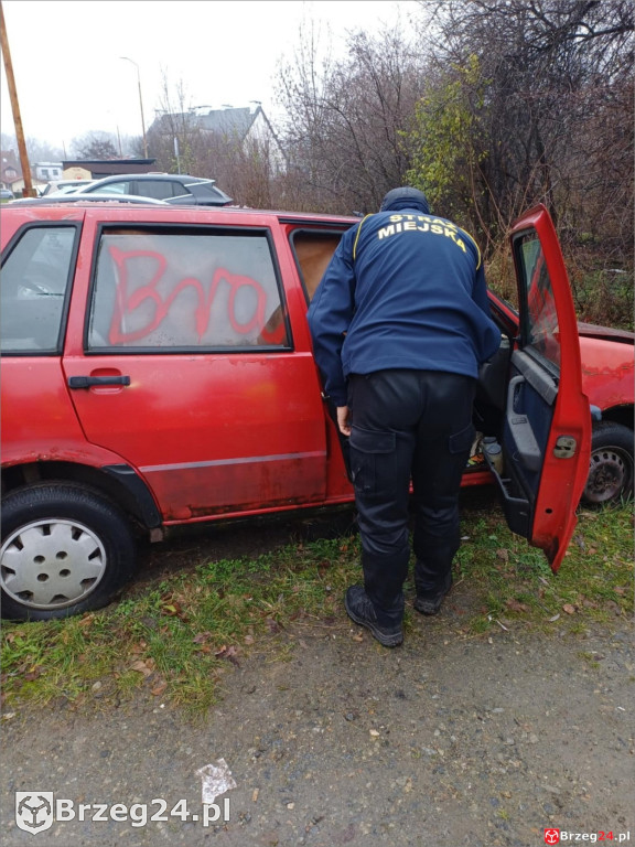 Wraki w propagandzie Jaskólskiej-Palus