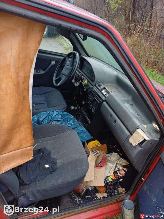 Wraki w propagandzie Jaskólskiej-Palus