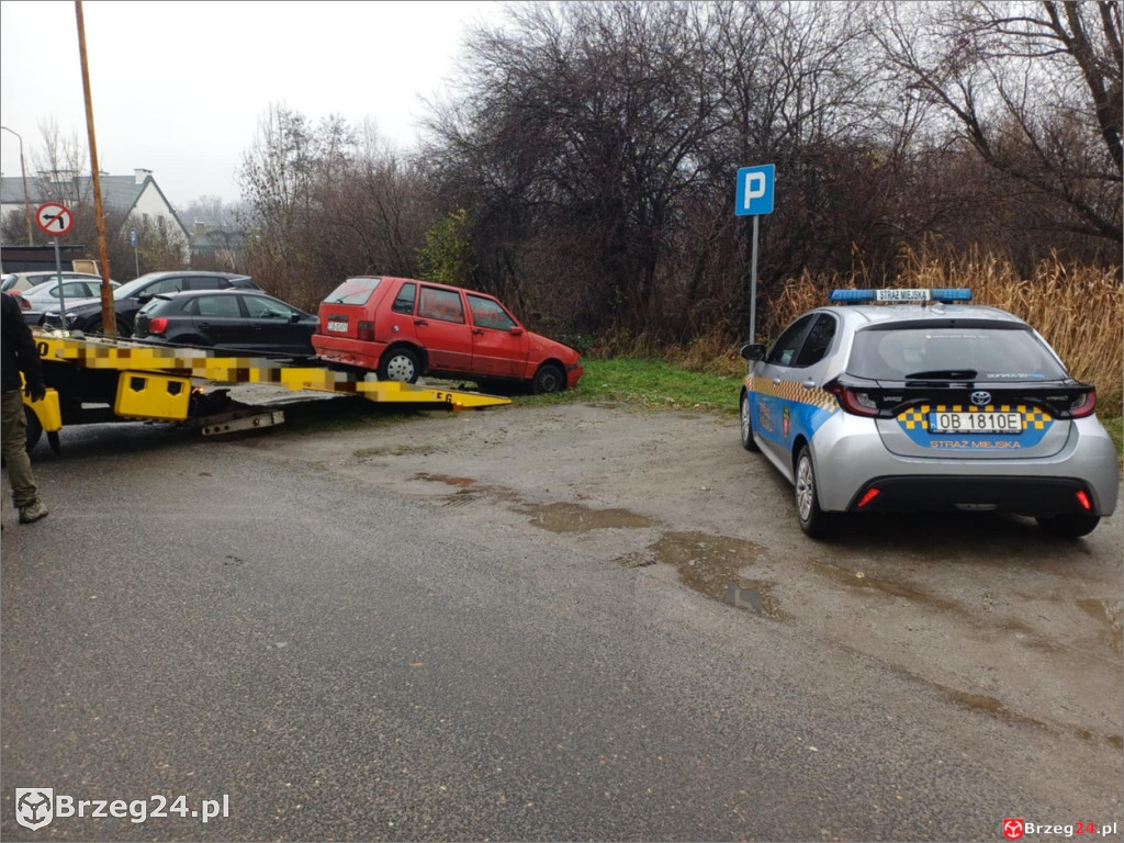 Wraki w propagandzie Jaskólskiej-Palus