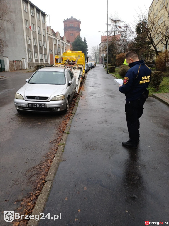 Wraki w propagandzie Jaskólskiej-Palus