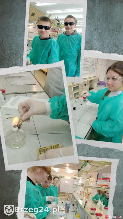 Uczniowie z Przylesia na Uniwersytecie Wrocławskim