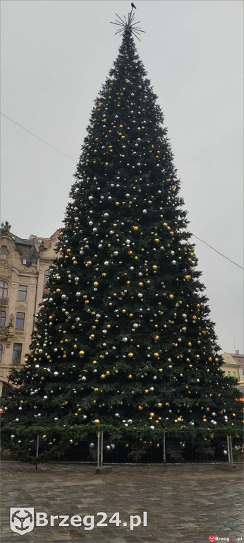 Wyjazd uczniów z Olszanki do Wrocławia