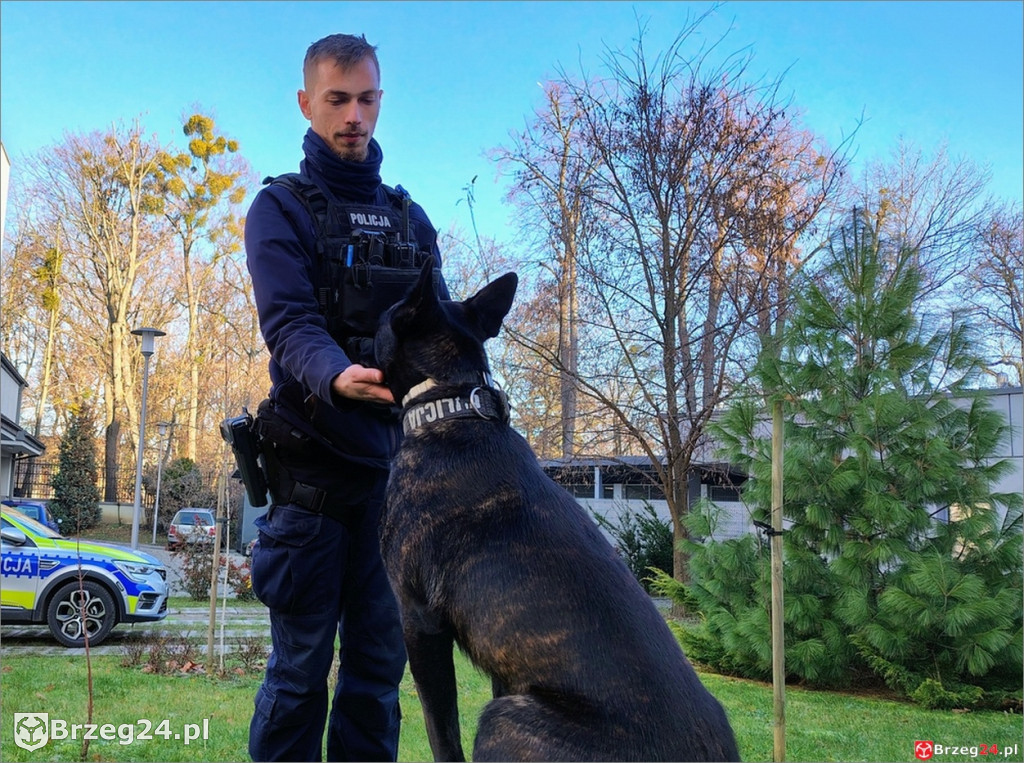 Lara rozpoczęła policyjną służbę