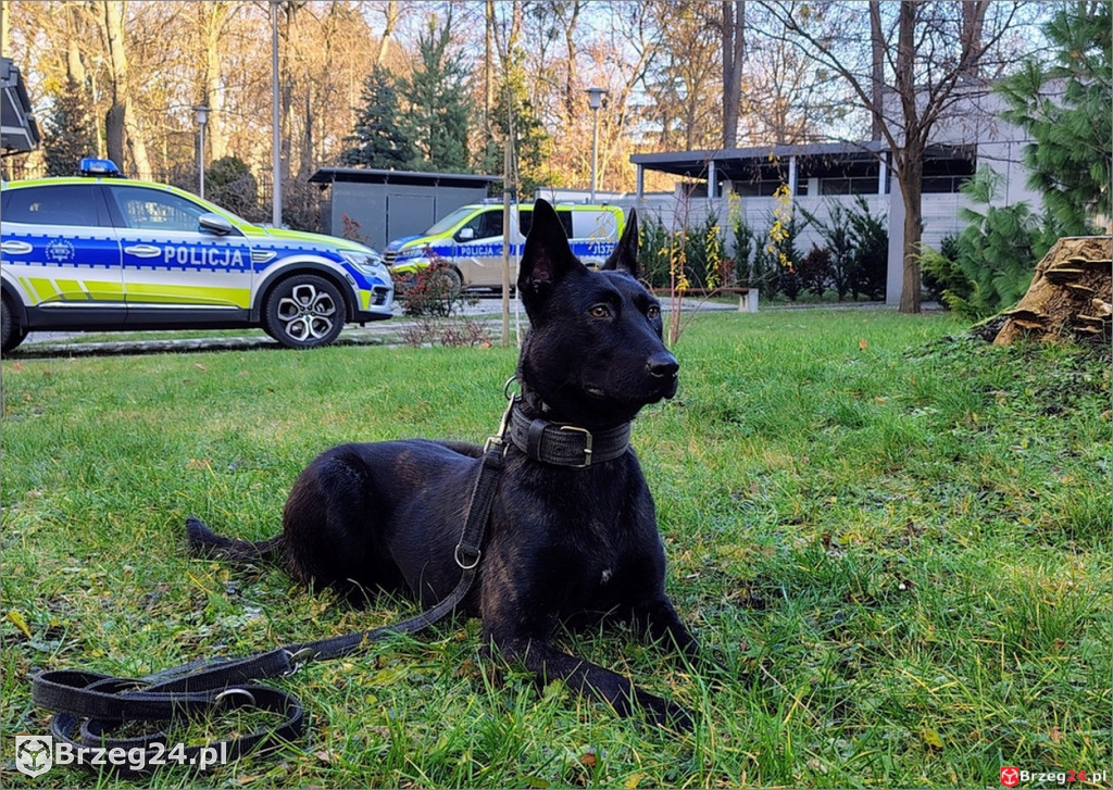 Lara rozpoczęła policyjną służbę