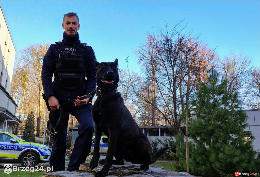 Lara rozpoczęła policyjną służbę