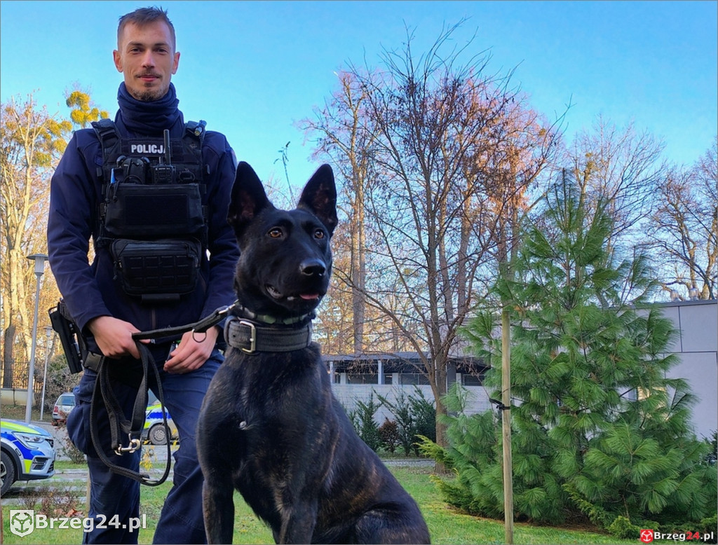 Lara rozpoczęła policyjną służbę