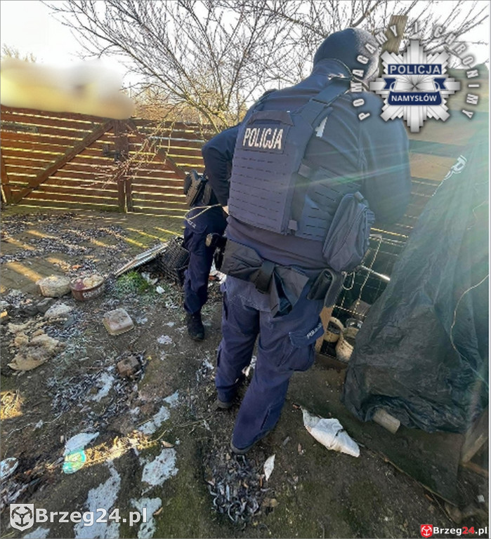 Pies w agonalnym stanie odebrany właścicielowi