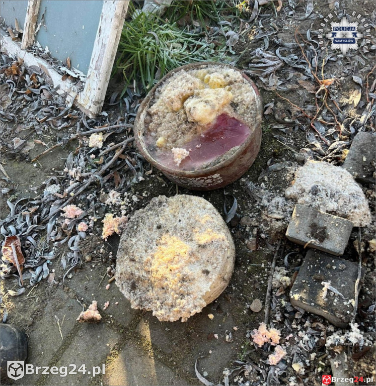 Pies w agonalnym stanie odebrany właścicielowi