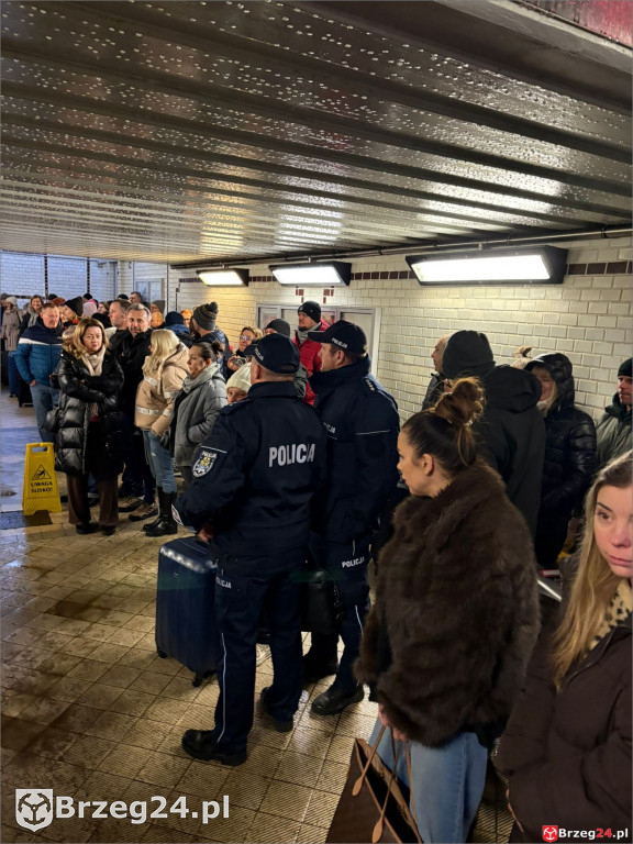 Ferie z Towarzystwem Przyjaciół Dzieci