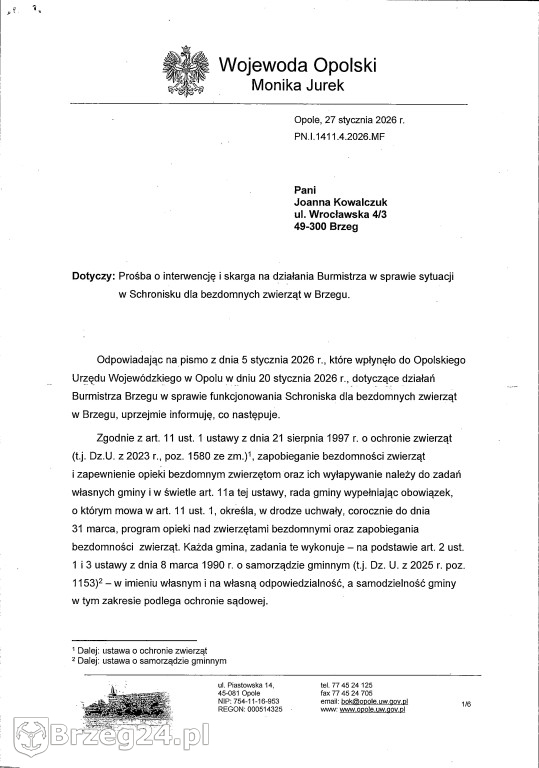 Co dzieje się w „Przytul Psisko”?