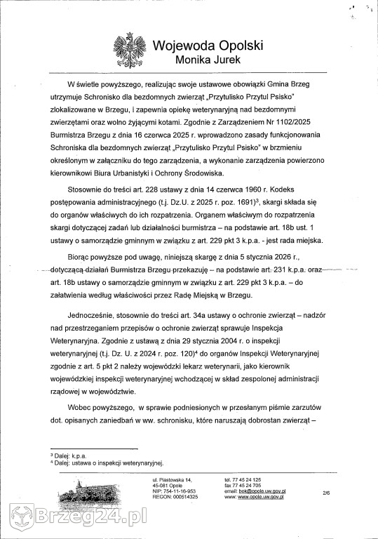 Co dzieje się w „Przytul Psisko”?