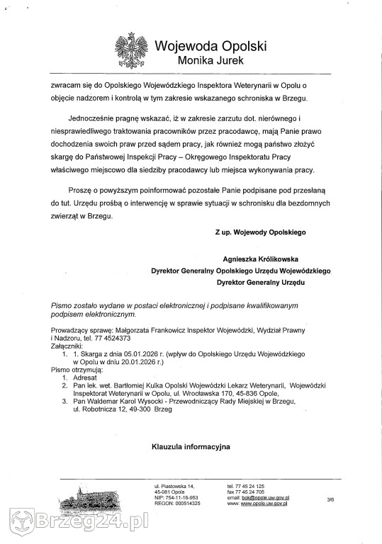 Co dzieje się w „Przytul Psisko”?