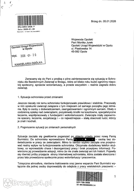 Co dzieje się w „Przytul Psisko”?