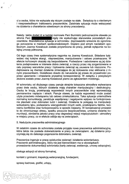 Co dzieje się w „Przytul Psisko”?